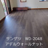 画像335